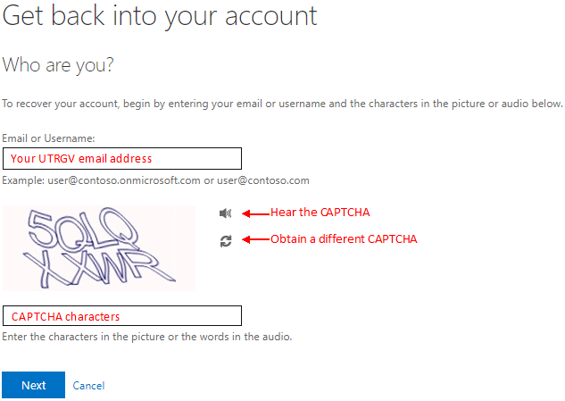 image of entering your email address and CAPTCHA characters